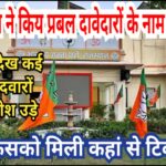 Rajasthan Bjp List : भाजपा ने कीय प्रबल दावेदारों के नाम घोषित, किसको मिली कहां से टिकट