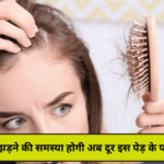 Hair loss problem Simple Solution, बालों की समस्या अब होगी दूर देखें कैसे