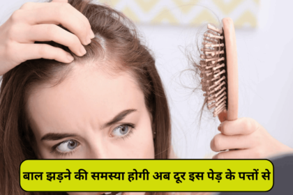 Hair loss problem Simple Solution, बालों की समस्या अब होगी दूर देखें कैसे