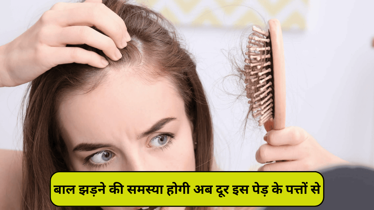 Hair loss problem Simple Solution, बालों की समस्या अब होगी दूर देखें कैसे