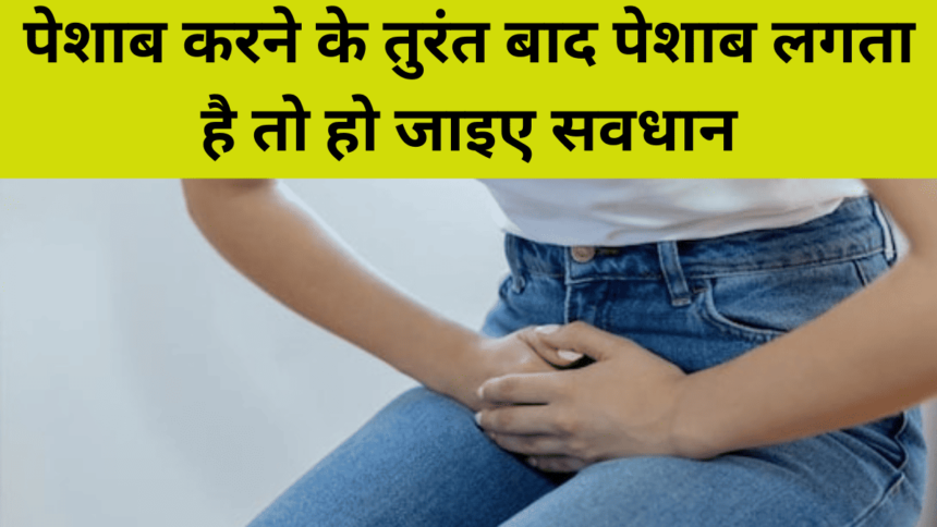 Urine Problem Alert: पेशाब करने के तुरंत बाद पेशाब लगता है तो सावधान