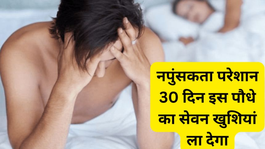 नपुंसकता से परेशान Troubled by impotence 30 दिन करें इस पौधे का सेवन